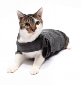 MP-Cat-Thundershirt